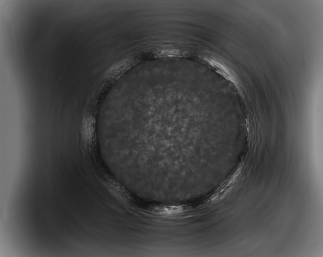 X0000097800361200803201402