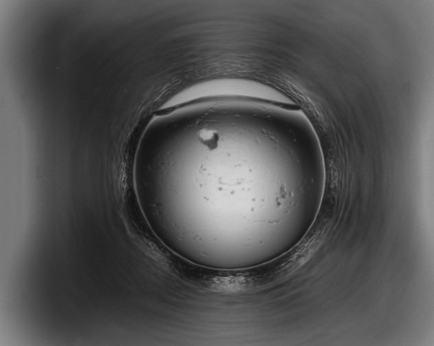 X0000097800362200803201402