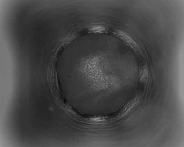 X0000097800365200803201402