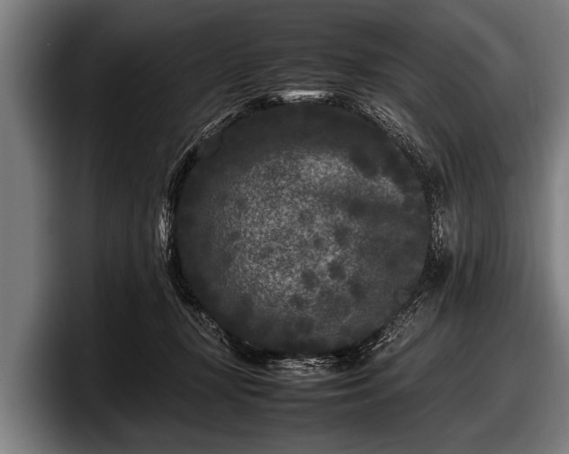 X0000097800367200803201402