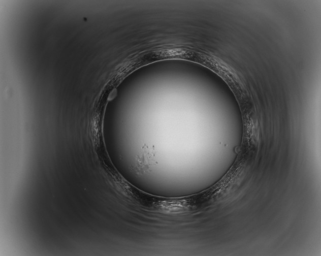 X0000097800373200803201402