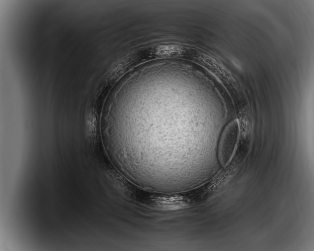 X0000097800375200803201402