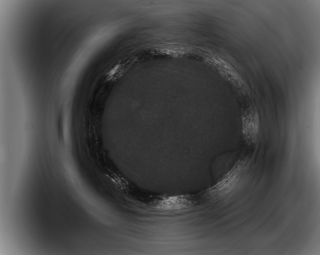 X0000097800382200803201402