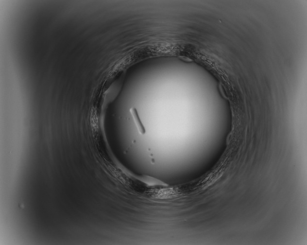 X0000097800384200803201402