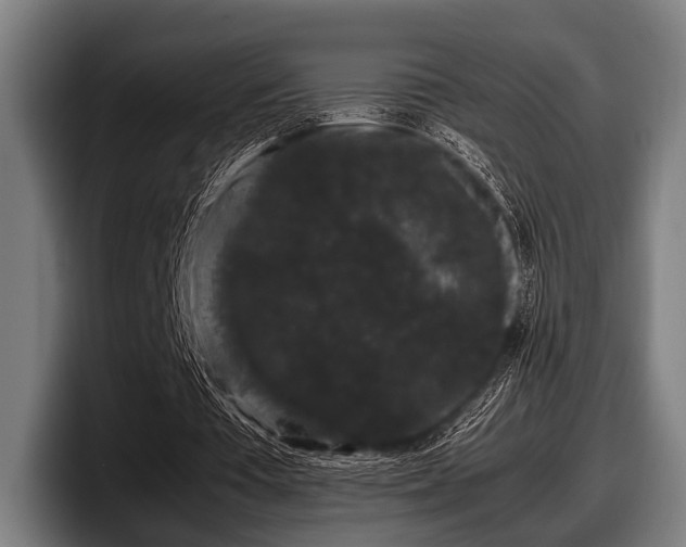 X0000097800385200803201402