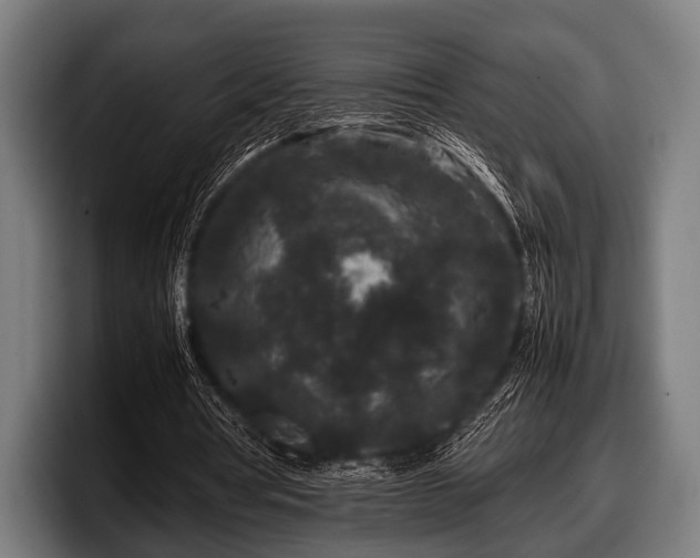 X0000097800386200803201402