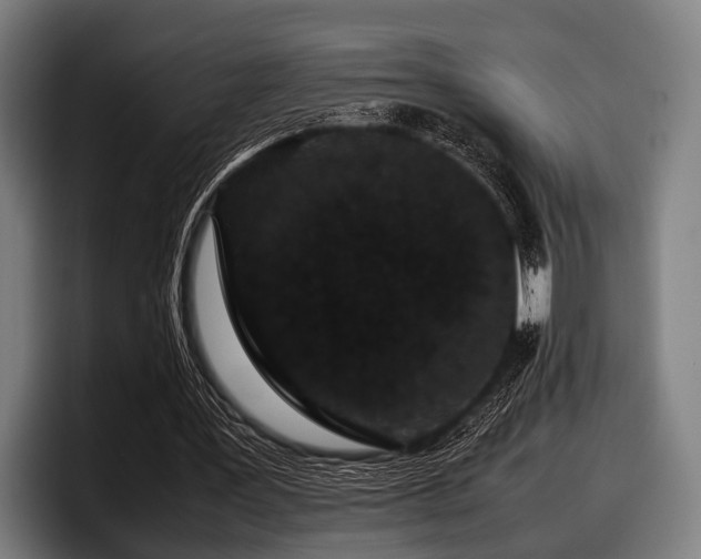 X0000097800387200803201401