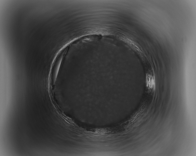 X0000097800388200803201401