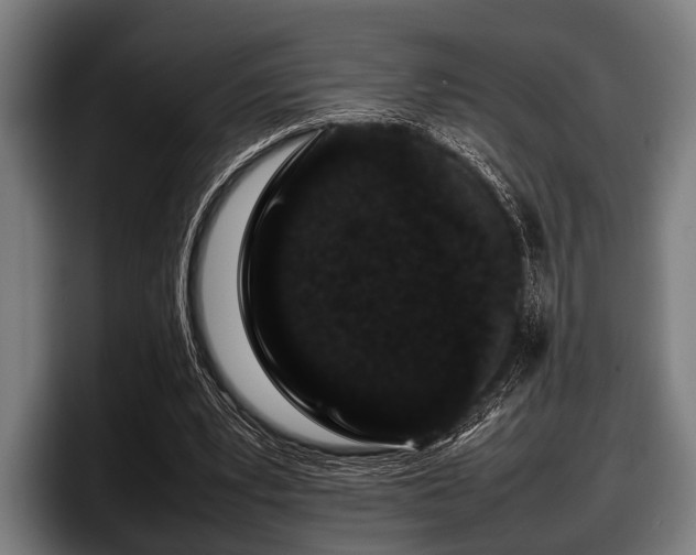 X0000097800391200803201401