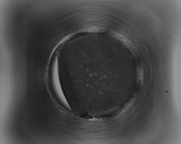 X0000097800392200803201401