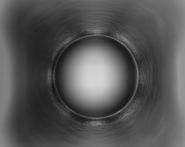 X0000097800394200803201401