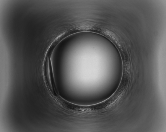 X0000097800395200803201401