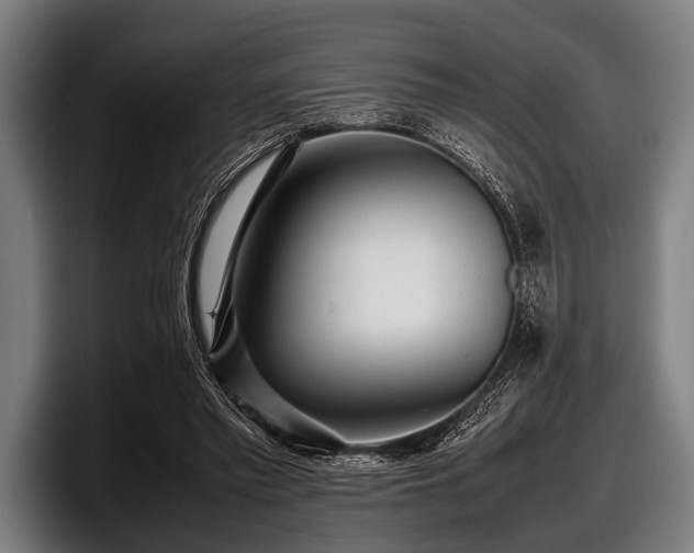 X0000097800397200803201401