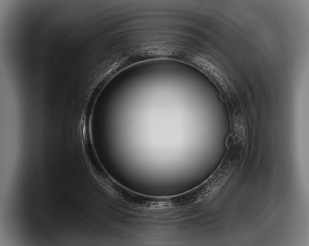 X0000097800398200803201401