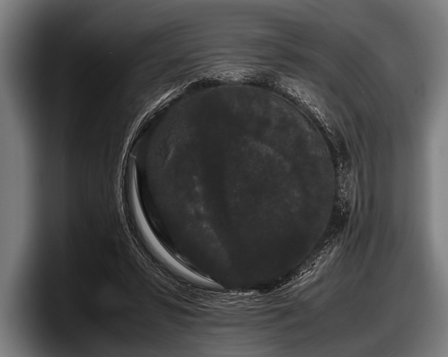 X0000097800399200803201401