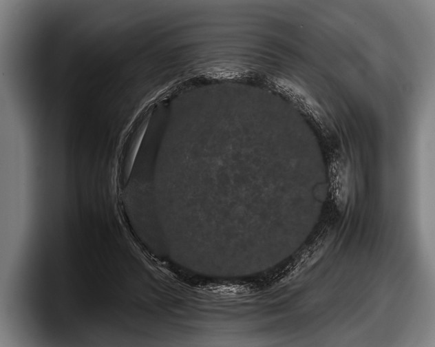 X0000097800400200803201401