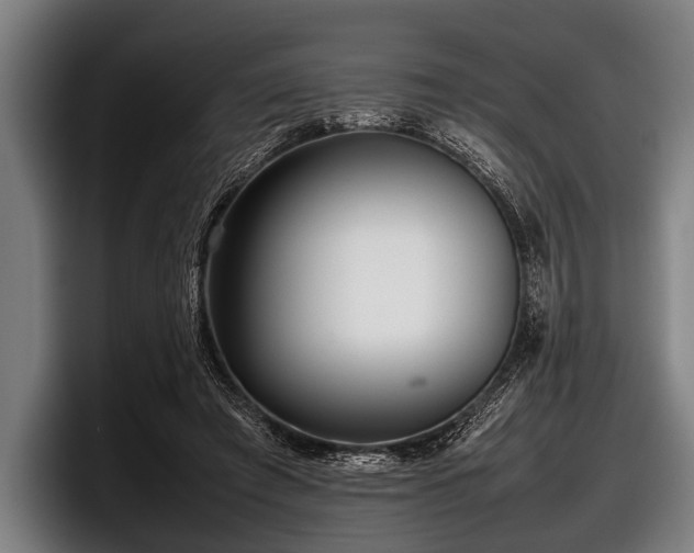 X0000097800401200803201401