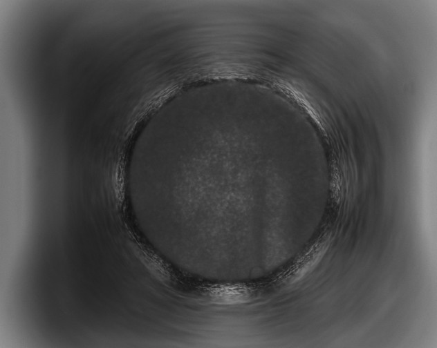 X0000097800402200803201401