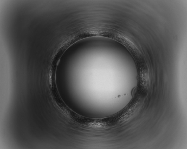 X0000097800404200803201401