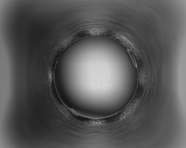 X0000097800405200803201401