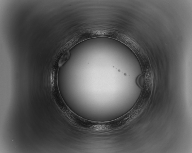 X0000097800406200803201401