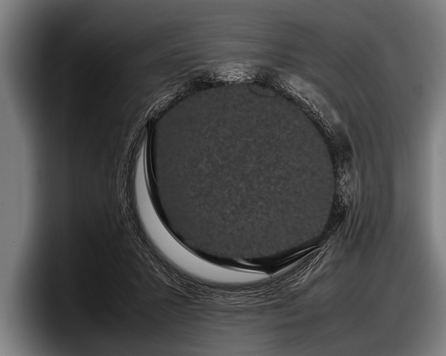 X0000097800407200803201401