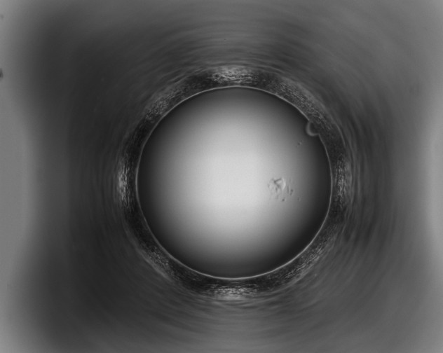 X0000097800408200803201401