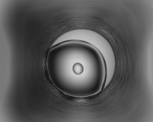 X0000097800409200803201401