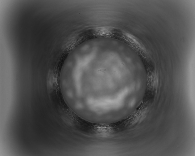 X0000097800415200803201401