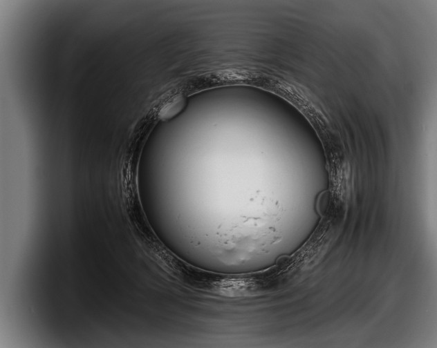 X0000097800418200803201401