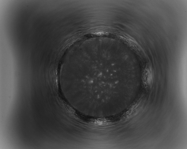 X0000097800420200803201401