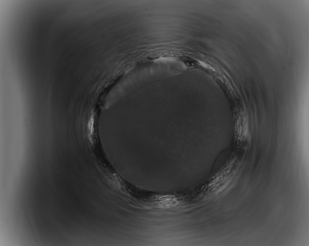 X0000097800424200803201401