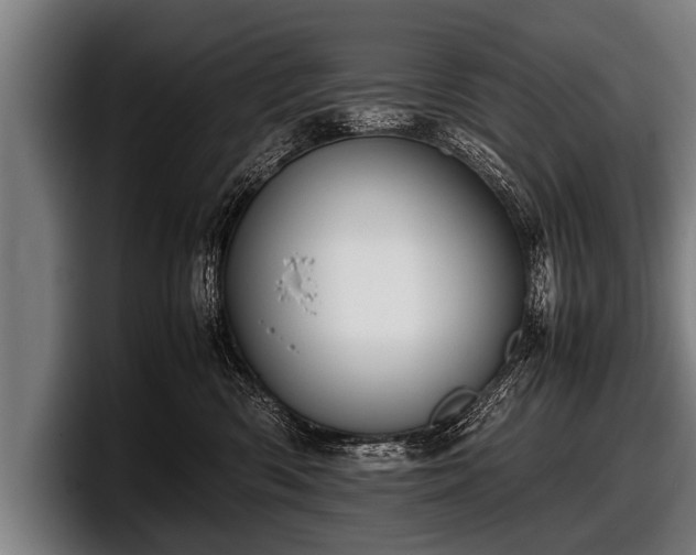 X0000097800426200803201401