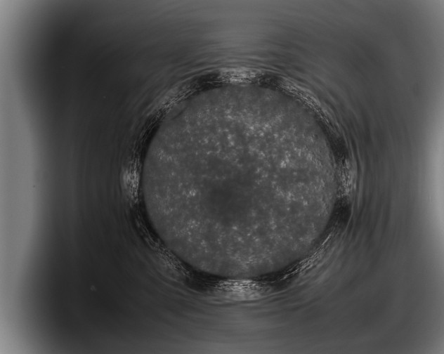 X0000097800427200803201401