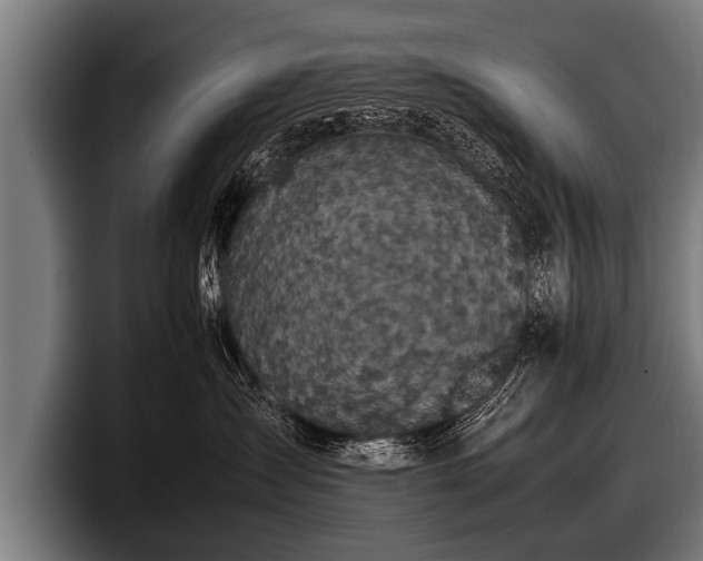 X0000097800431200803201401