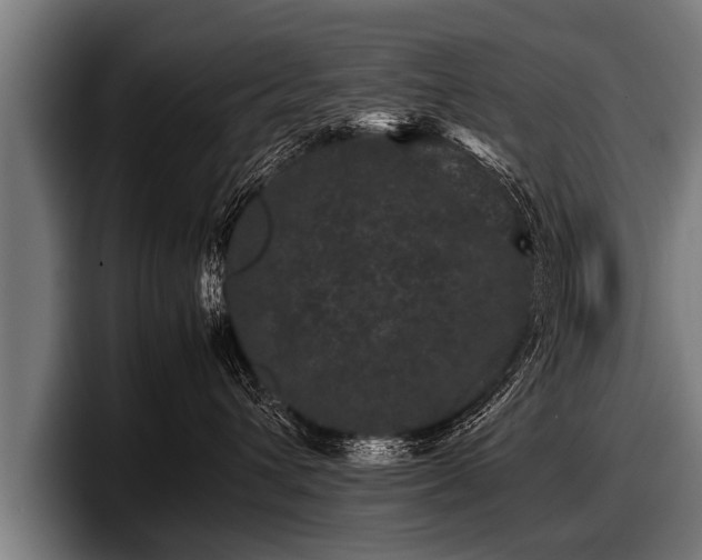 X0000097800432200803201401