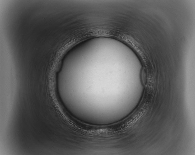 X0000097800433200803201400