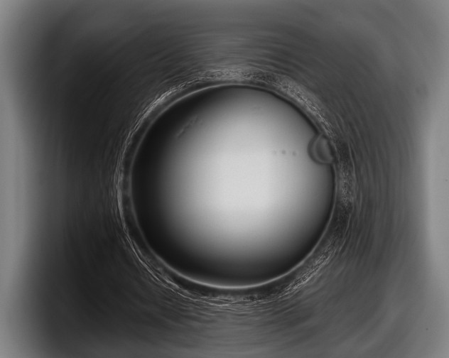 X0000097800434200803201400