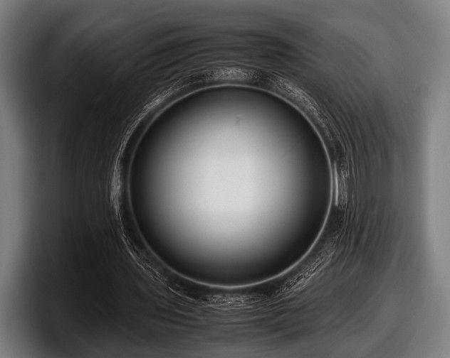 X0000097800435200803201400