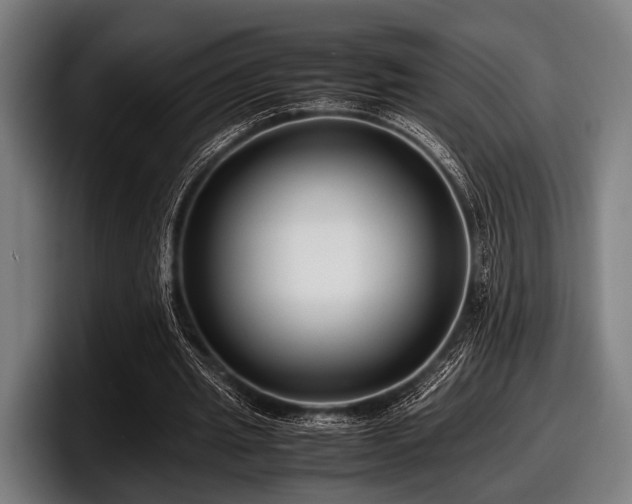 X0000097800437200803201400