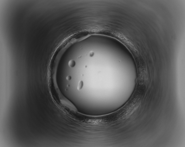 X0000097800440200803201400