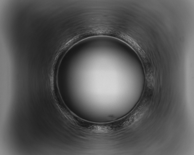 X0000097800442200803201400