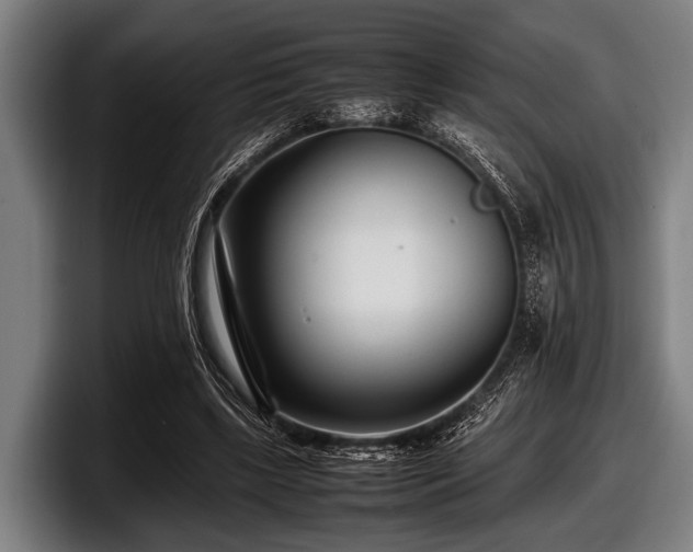 X0000097800443200803201400