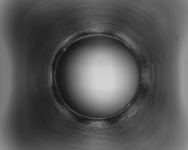 X0000097800446200803201400