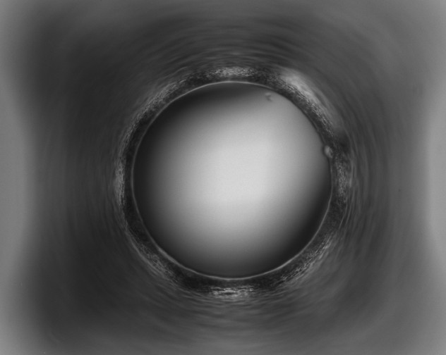 X0000097800447200803201400