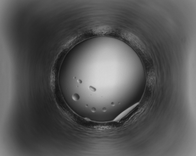 X0000097800448200803201400