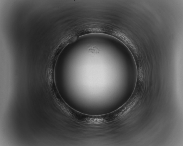 X0000097800449200803201400