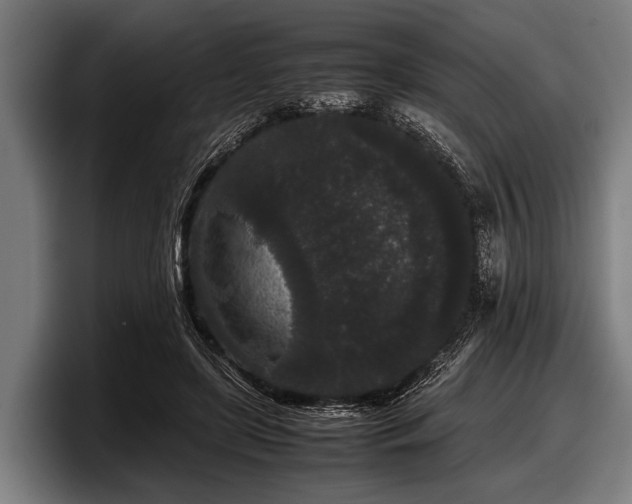 X0000097800451200803201400