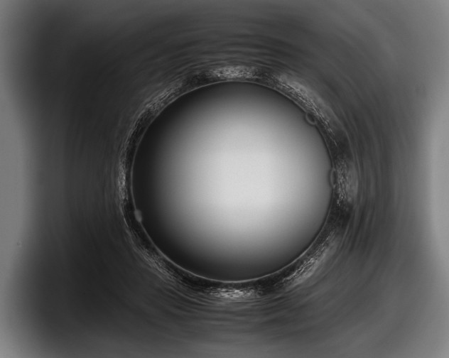 X0000097800453200803201400