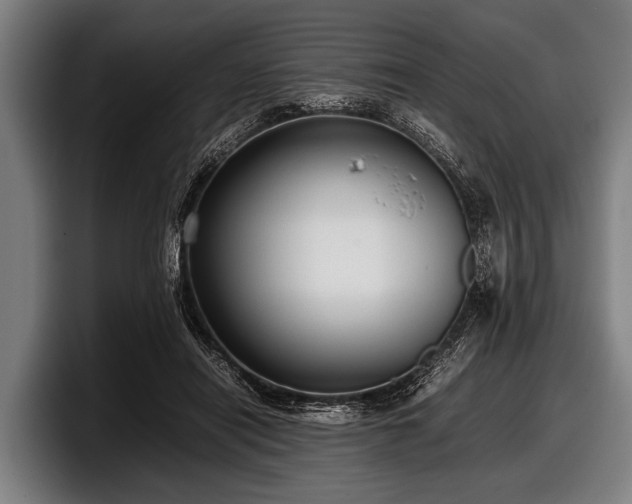 X0000097800454200803201400